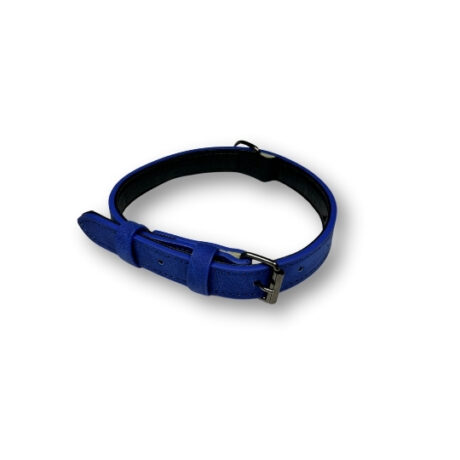 Zgarda de piele pentru câini si pisici, albastru, premium, marime XS